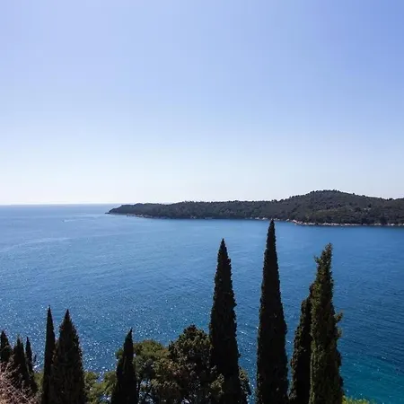 アリ アパート *