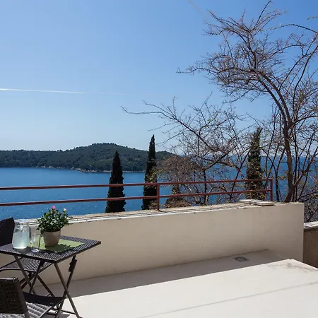 アリ * ドゥブロブニク