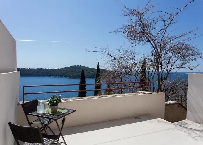 Ari دوبروفينك