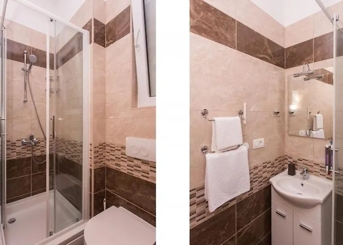 Ari دوبروفينك