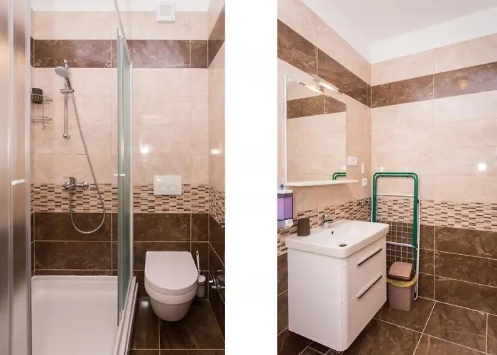 Ari دوبروفينك