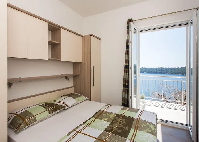 Ari * دوبروفينك