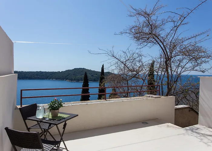 Ari * دوبروفينك