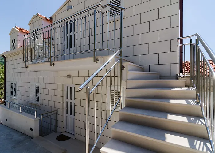 Ari دوبروفينك